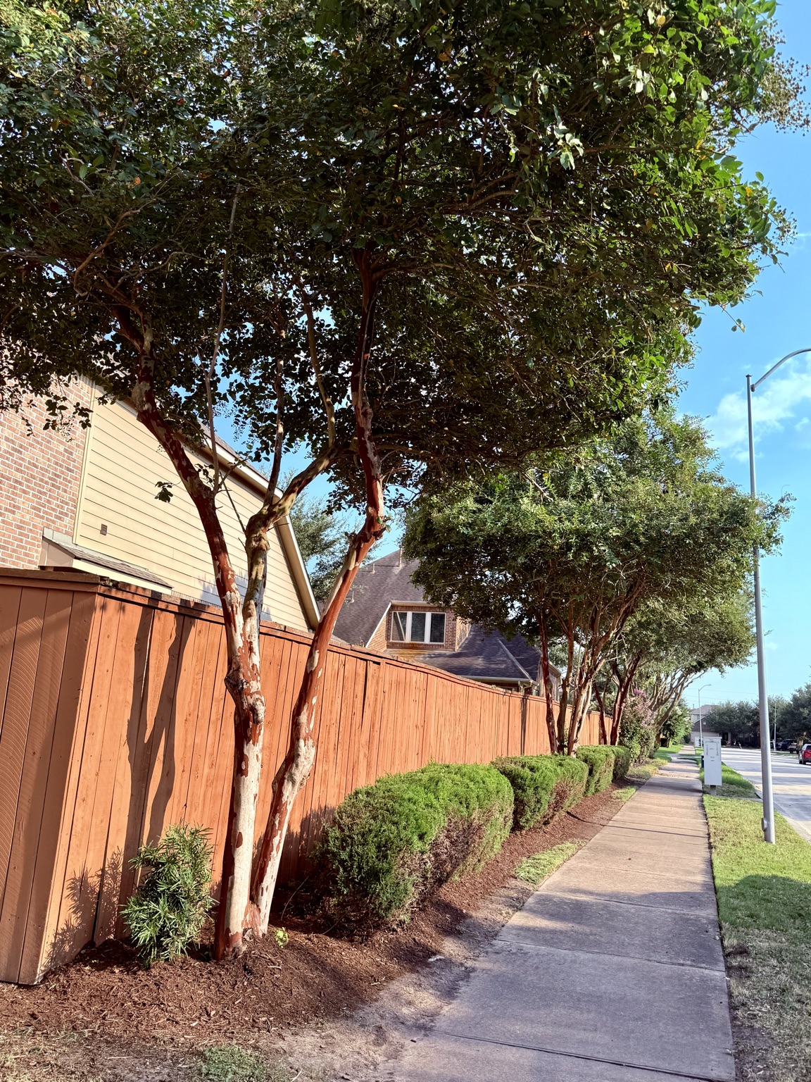 Residential landscaping project after service